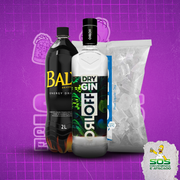 Kits de Gin 1: Orloff Gin + Baly 2L + Gelo 3kg)