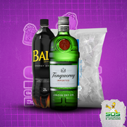 Kits de Gin 1: Tanqueray 750ml + 01 Baly 2L + 01 Gelo 3kg)