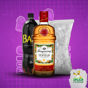 Kits de Gin 1: Tanqueray Sevilla 700ml + 01 Baly 2L + 01 Gelo 3kg)