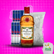 Gin + 06 Red Bull + 01 Gelo 3kg: Tanqueray Sevilla 700ml + 06 Red Bull + 01 Gelo 3kg)