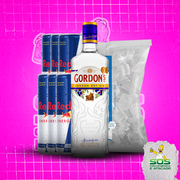 Gin + 06 Red Bull + 01 Gelo 3kg: Gordon