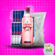 Gin + 06 Red Bull + 01 Gelo 3kg: Gordon