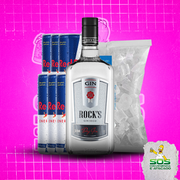 Gin + 06 Red Bull + 01 Gelo 3kg: Rocks Tradicional 1L + 06 Red Bull + 01 Gelo 3kg)