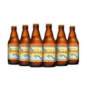 Cervejas Mala Fechada: ANTARCTICA ORIGINAL CHOPPINHO - CHOPPINHO