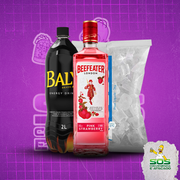 Kits de Gin 1: Beefeater Pink 1L + 01 Baly + 01 Gelo 3kg)