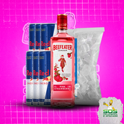 Gin + 06 Red Bull + 01 Gelo 3kg: Kit Beefeater Pink 1L + 06 Red Bull + 01 Gelo 3kg)