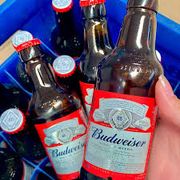 Cervejas Mala Fechada: budweiser chopinho caixa c/23 - chopinho