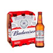 Long Neck: Budweiser Long Neck Pack (6 unidades) - Cerveja
