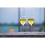 Vinho: TAÇA DE VINHO BRANCA CAROLINA - VINHO BRANCO