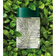 O Boticário: Arbo Desodorante Colônia 100ml - Fragrância masculina Fougére Fresco pro dia a dia que traz as notas exclusivas captadas no ar da montanha. Ideal para o dia, é a cara do verão, mas desperta boas sensações em todas as estações do ano.