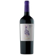 Vinho: Vinho Chac Chac Malbec - -