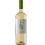 Vinho: Vinho Chac Chac sauvignon blanc - -