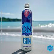 Gin: Gin QN tradicional - -