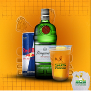 Copão de Kit: Copão Tanqueray + Red Bull + Gelo de Sabor)