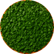 Legumes e Verduras: Capreze - Pizza Grande (12 Fatias) (Ingredientes: Tomate, Muçarela, Molho Pesto, Rúcula)