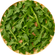 Defumados e Embutidos: Di Capri - Pizza Grande (12 Fatias) (Ingredientes: Presunto Parma, Catupiry, Rúcula, Muçarela)