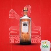 Vodkas: Absolut Elyx 4,5L)