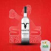 Vodkas: Vodka Ignite 750ml)
