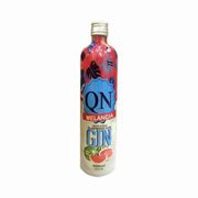 Gin: Gin QN Melancia - Gin