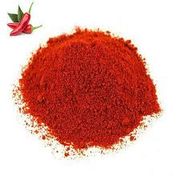 Temperos e Especiarias: Páprica Picante Defumada 50g - é um tempero feito de pimentões vermelhos secos, defumados e moídos, que combina a ardência da pimenta com o sabor de fumaça, sendo usada para dar um toque picante e aromático a diversos pratos, como carnes, molhos e batatas