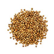 Temperos e Especiarias: Coentro em grãos 100g - serve como um tempero culinário e também para a saúde, pois auxilia na digestão, no controle da pressão arterial e do açúcar no sangue, além de ter propriedades anti-inflamatórias e antioxidantes que combatem inflamações