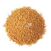 Temperos e Especiarias: Mostarda em grãos 50g - serve como um tempero versátil na culinária, sendo usada para fazer molhos, marinadas, picles e para adicionar sabor e crocância a pratos como carnes, legumes e saladas.