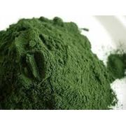 Produtos Naturais: Spirulina em pó 50g - é uma alga azul-esverdeada, comercializada como um suplemento alimentar e superalimento, rica em proteínas, vitaminas do complexo B, minerais como ferro, e antioxidantes como a ficocianina.