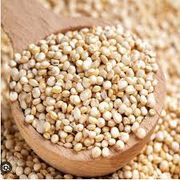 Grãos e Cereais: Quinoa branca grãos 100g - superalimento benéfico por ser rica em proteínas de alto valor biológico, contendo todos os aminoácidos essenciais, e por sua alta concentração de fibras, que melhoram a digestão, promovem a saciedade e ajudam a controlar o peso.
