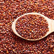 Grãos e Cereais: Quinoa vermelha grãos 100g - um superalimento que oferece inúmeros benefícios, incluindo ser uma fonte completa de proteína vegetal, rica em fibras que promovem a saciedade e saúde intestinal, e conter vitaminas e minerais essenciais como ferro, magnésio e vitaminas B