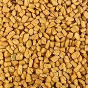 Grãos e Cereais: Feno Grego em grãos 50g - serve para controlar a glicose no sangue, diminuir o colesterol LDL, aliviar sintomas digestivos, ajudar na produção de leite materno, e tem propriedades anti-inflamatórias e antioxidantes que promovem a saúde geral e a pele.
