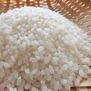 Grãos e Cereais: Arroz Japonês p/ Sushi 100g - O arroz japonês simples, também conhecido como uruchimai, é usado em quase todas as receitas culinárias japonesas.