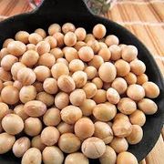 Grãos e Cereais: Soja em grãos 100g - auxílio na saúde do coração, por diminuir o colesterol LDL e triglicerídeos, e na saúde óssea devido ao seu teor de minerais como cálcio e fósforo.