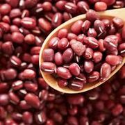 Grãos e Cereais: Feijão Azuki 100g - ajudar na perda de peso e digestão, controlar os níveis de açúcar no sangue, prevenir doenças cardíacas e anemia, fortalecer o sistema imunológico, e auxiliar na formação óssea. Suas propriedades diuréticas também o tornam útil para a eliminação de cálculos renais e biliares.