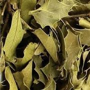 Ervas Medicinais: Espinheira Santa 50g - usada para tratar problemas gástricos, como gastrite, úlceras, azia e indigestão, pois protege a mucosa estomacal, reduz a acidez e possui ação cicatrizante e anti-inflamatória.