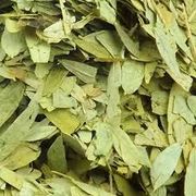Ervas Medicinais: Sene Folhas 50g - é uma planta medicinal usada principalmente como laxante para tratar a prisão de ventre, pois estimula o intestino a funcionar, facilitando a evacuação e amolecendo as fezes.
