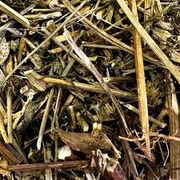Ervas Medicinais: Picão Preto 50g - O picão-preto é uma planta medicinal muito utilizada para o tratamento de infecção urinária, reumatismo, diabetes, hipertensão, malária, dor no estômago e herpes.