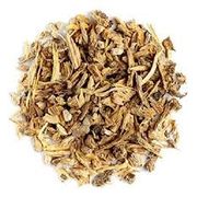 Ervas Medicinais: Angélica Raiz 50g - melhorar a digestão, aliviando gases, inchaço e cólicas, e também auxilia no alívio dos sintomas da menopausa e dores menstruais, além de fortalecer o sistema imunológico e combater a exaustão física
