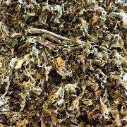 Ervas Medicinais: Bardana 50g - desintoxicar o organismo, auxiliando na eliminação de toxinas do fígado e rins, e é usada para problemas na pele, como acne e eczema, devido às suas propriedades antibacterianas, anti-inflamatórias e antifúngicas.