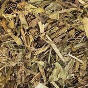 Ervas Medicinais: Chapéu de Couro 50g - propriedades anti-inflamatórias, diuréticas, depurativas e antioxidantes, utilizado para auxiliar no tratamento de infecções urinárias, problemas renais e hepáticos, hipertensão, inflamações de garganta e reumatismo.