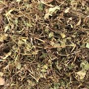 Ervas Medicinais: Centella Asiática 50g - oferece benefícios diversos para a pele e a circulação, promovendo cicatrização, reduzindo a celulite e aliviando sintomas da insuficiência venosa, como varizes e inchaços.