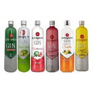 Kits Completos: Kit Gin Eternity melancia - 