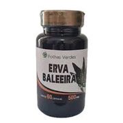 Fitoterápico: Erva baleeira 500mg 60cps Flora Viva - Possui ação anti-inflamatória natural, auxilia na saúde das articulações, alivia dores musculares