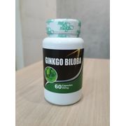 Fitoterápico: Ginko biloba 500mg 60cps Flora Viva - Auxilia na circulação sanguínea e memória e melhora a concentração.