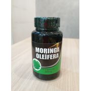 Fitoterápico: Moringa oleífera 500mg 60cps Flora Viva - Fortalece imunidade, possui ação antioxidante, auxilia na digestão e contribui para energia.