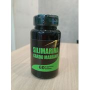 Fitoterápico: Silimarina cardo mariano 500mg 60cps Flora Viva - Auxilia na saúde do fígado, possui ação antioxidante, protege contra toxinas e contribui para a digestão.