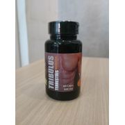 Suplementos: Tribullus terrestris 500mg 60cps Flora Viva - Pode aumentar a libido, apoiar a saúde hormonal e melhorar desempenho físico.