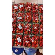 *Promoção*: Bandeja Morango - ..