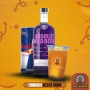 Copão: Copão Absolut | Wild berri 500ML - 2 Doses 50ml + 1 Redbull + 1 Gelo de Sabor da sua Escolha!