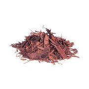 Ervas Medicinais: Ipe roxo 50g - Fortalece o sistema imunológico, possui ação anti-inflamatória e auxilia no combate a infecções.