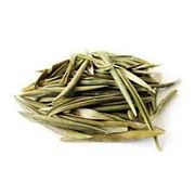 Ervas Medicinais: Oliveira 50g - Ajuda a controlar a pressão arterial, reduzir o colesterol, fortalecer o coração e atua como antioxidante natural.